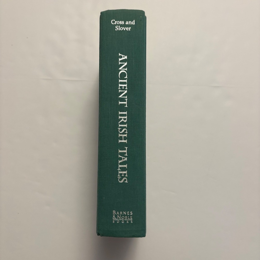 Barnes & Noble Ancient Irish Tales Book Unisex OS Green Silver Hardcover 1996